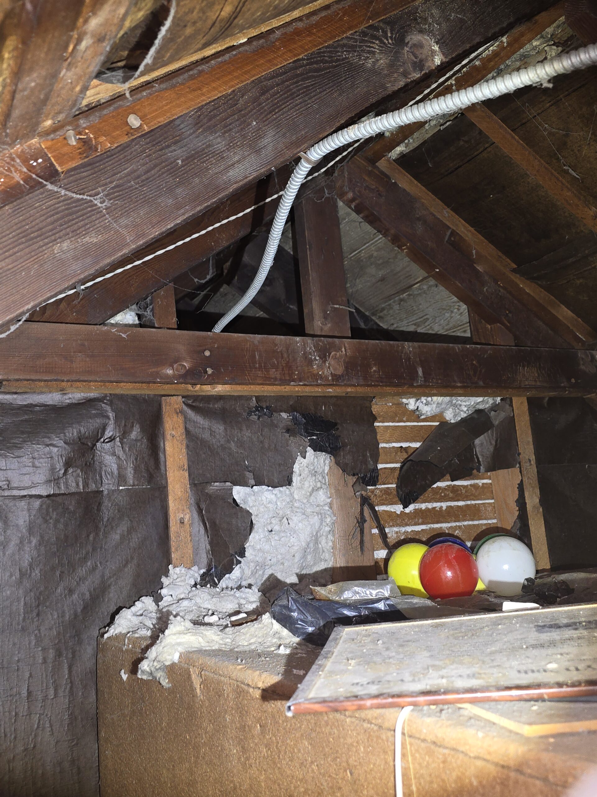Photo Evidence of Raccoon Damage in Attic Raccoon Inspection in New