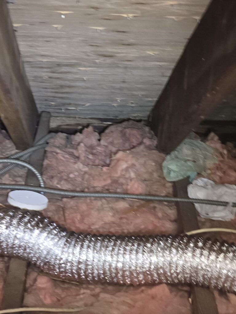 rat damage and debries in new jersey attic