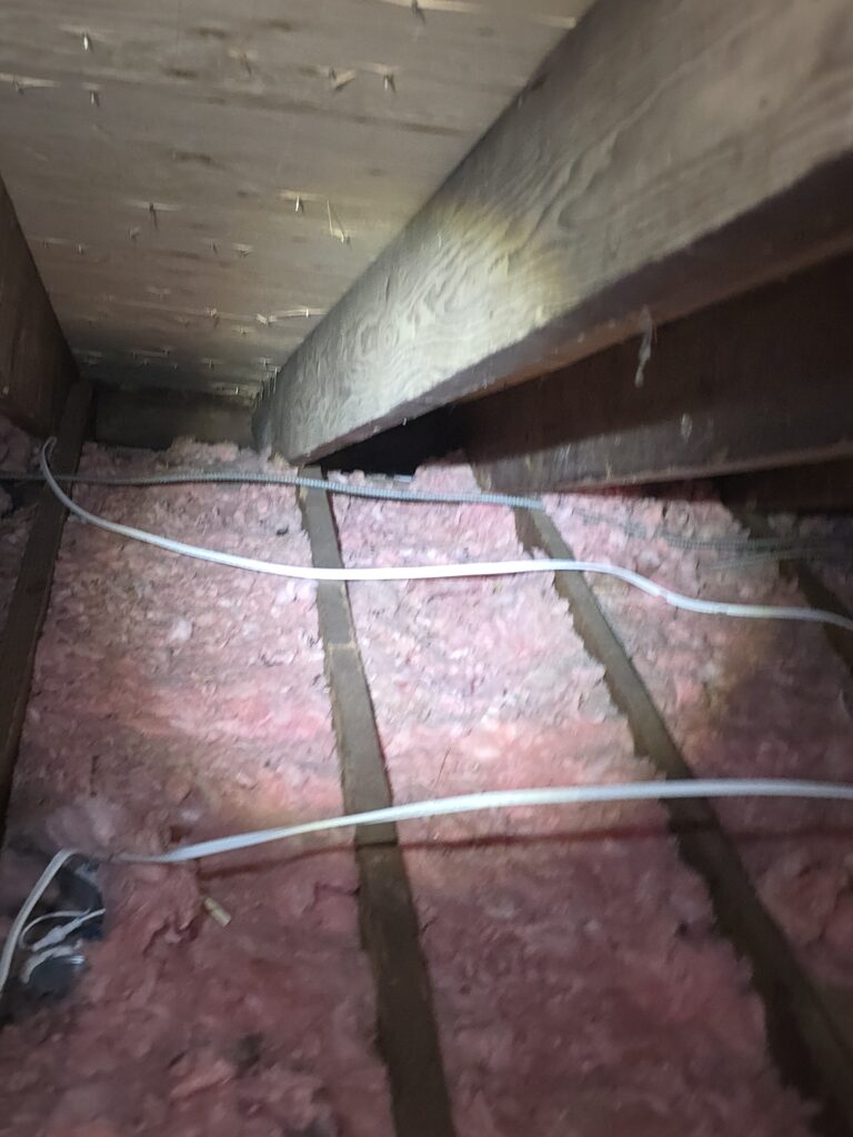damaged compressed insulation from rodents nj
