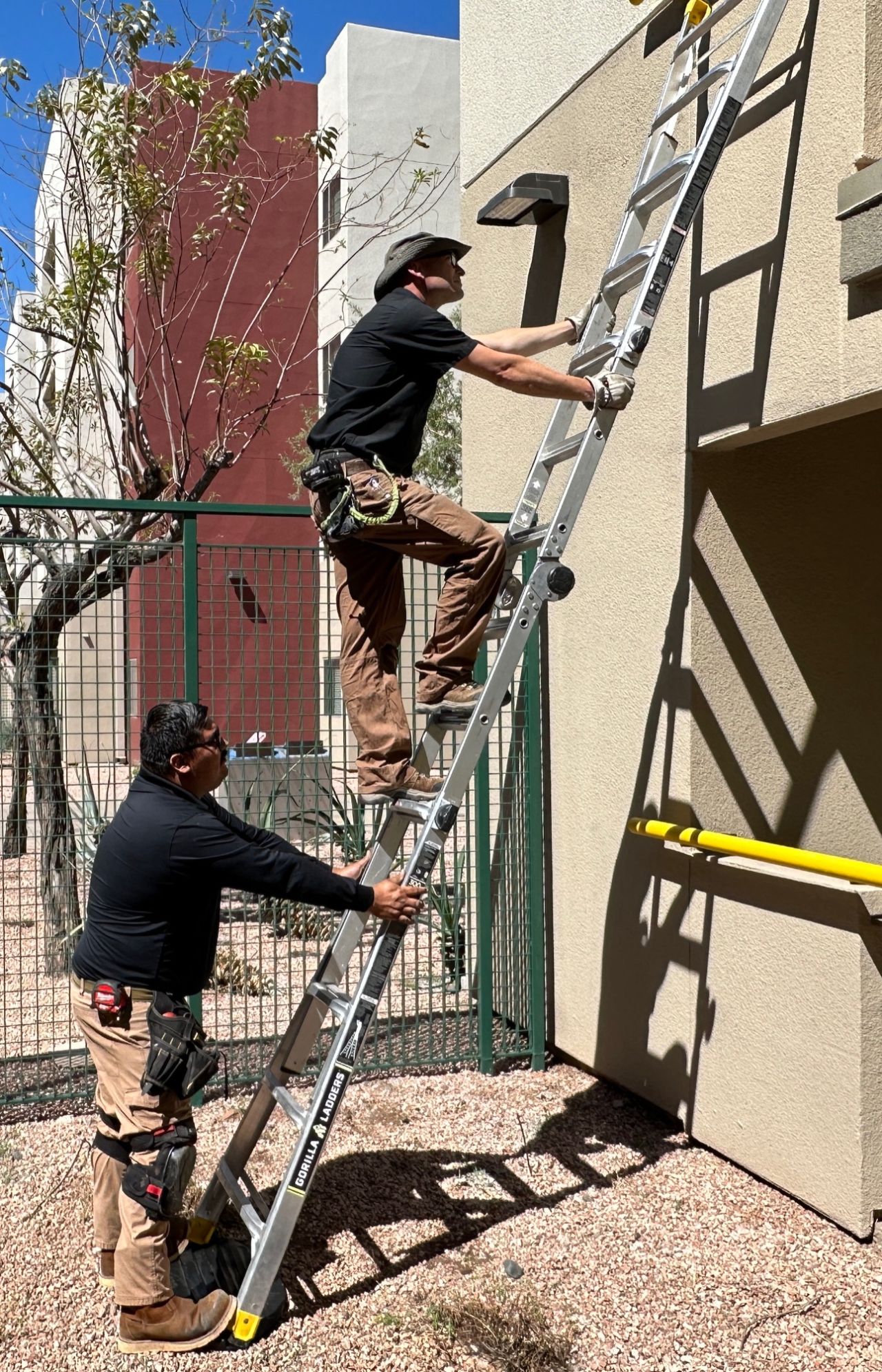 Wildlife control technians in Phoenix