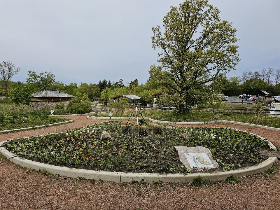 Critter Control + Schuamburg Park District