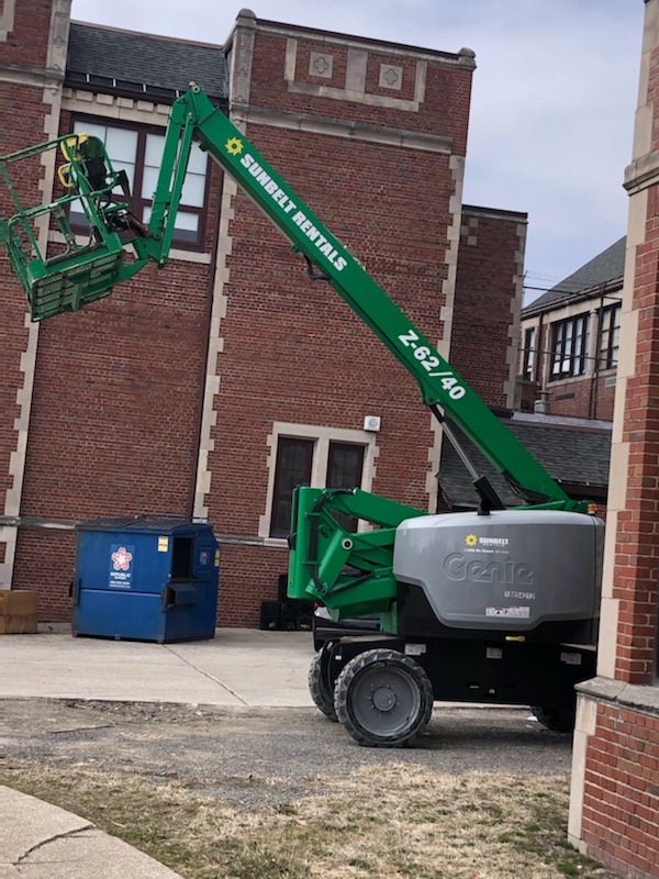 commercial bat removal from apartments in Detorit