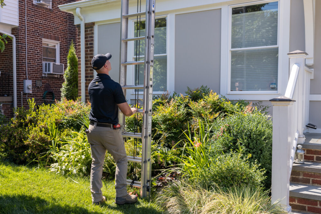 Critter Control Fast, Reliable Wildlife Removal - Critter Control in Will and Kendall ...