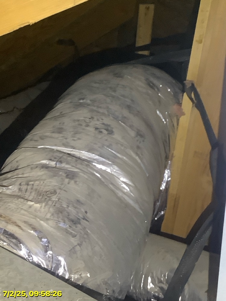 animal tracks in attic on ducts