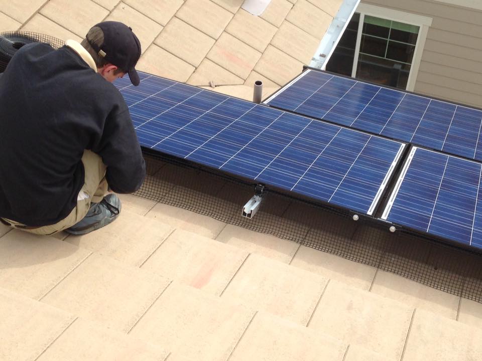 Bird Squirrel Control Solar Panel
