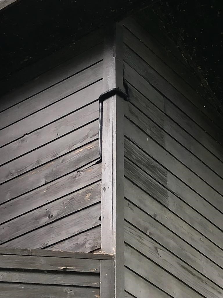 Black snake entering a woodpecker hole on the side of a house