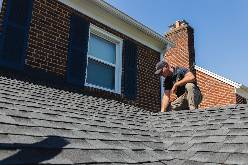 roof vent inspection for wildlife