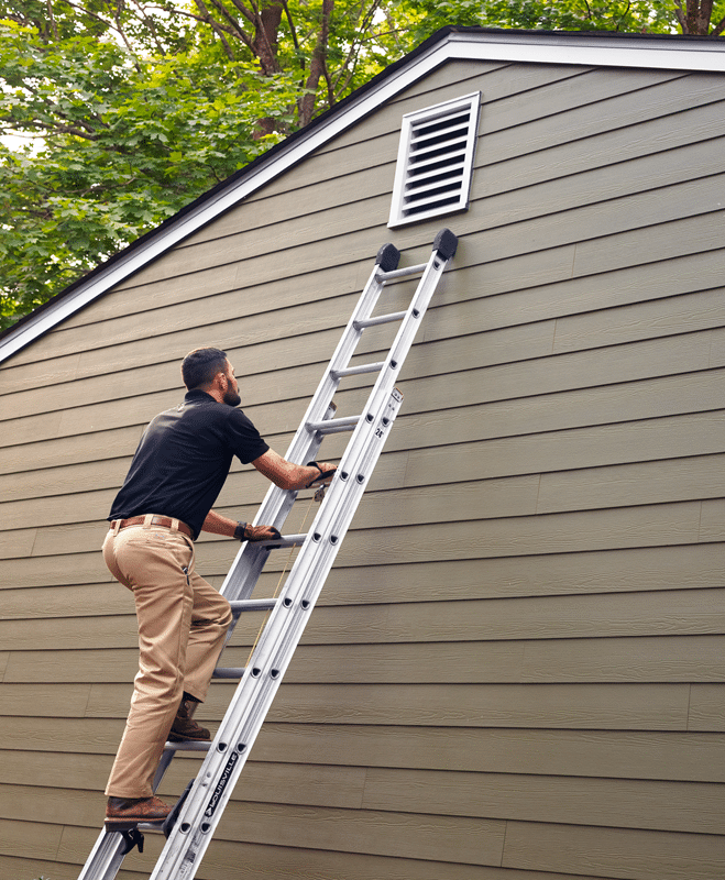 Wildlife Removal in Arlington
