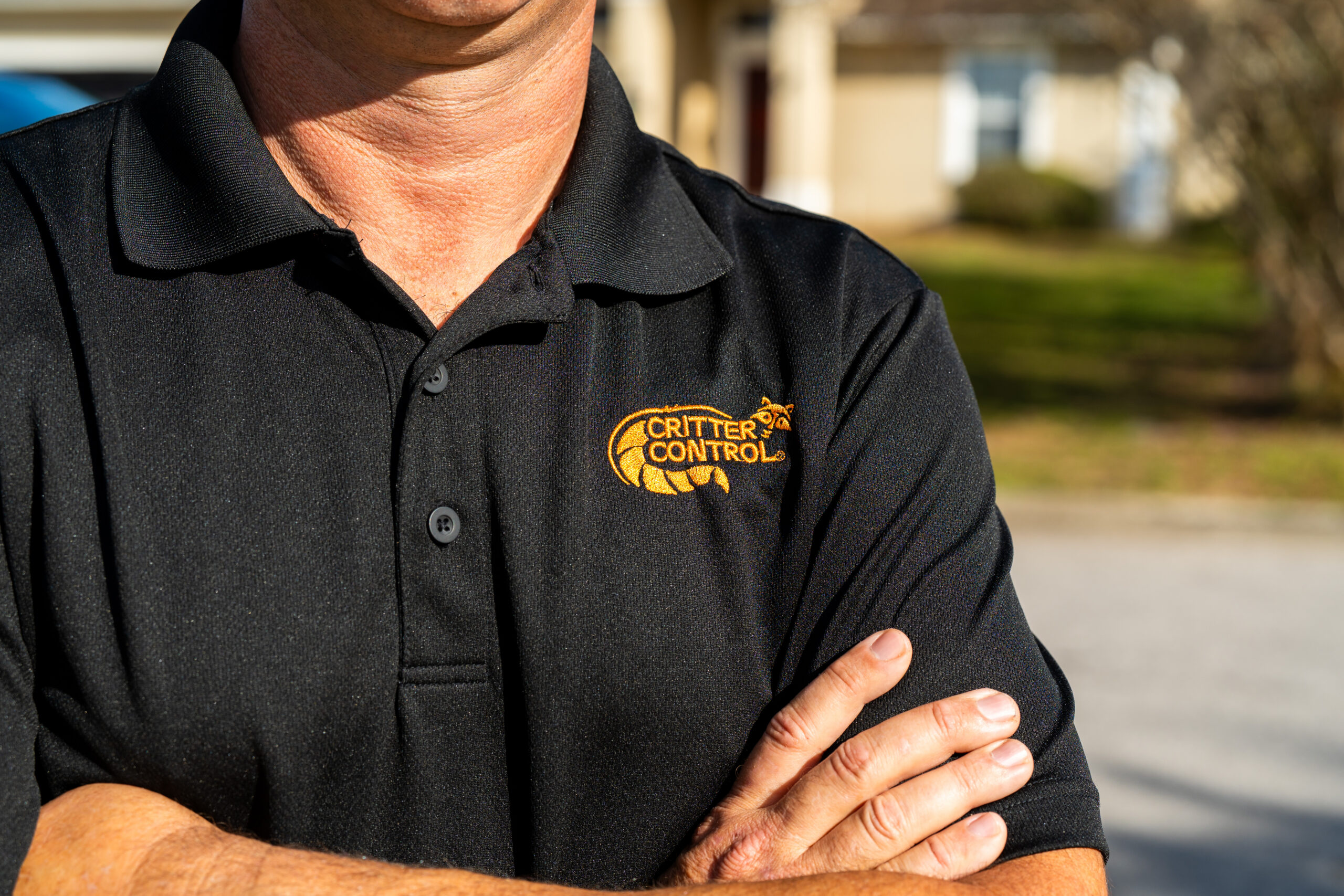 Pest Control in Orlando