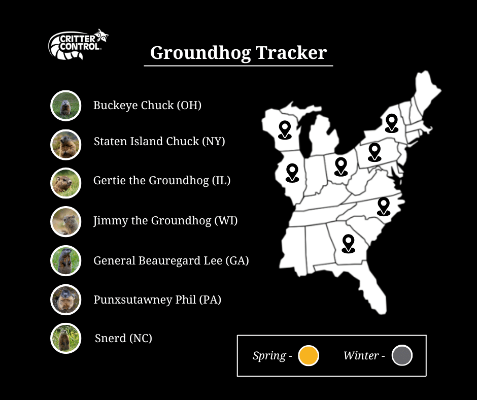 Groundhog day graphic tracker