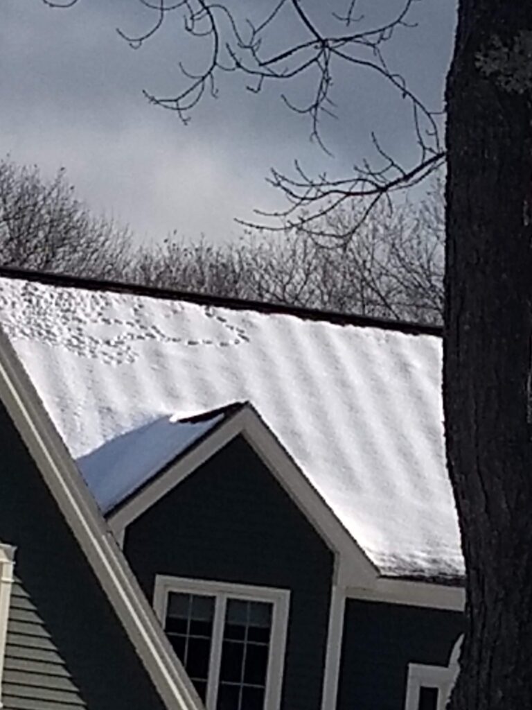 Tracks in snow on roof