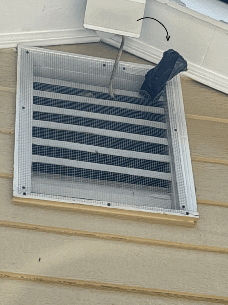 How Bat Removal Works