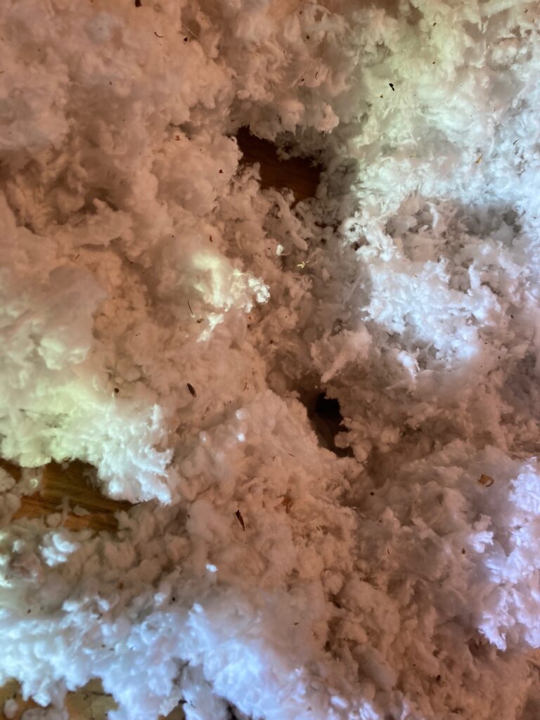 Rat tunnels insulation