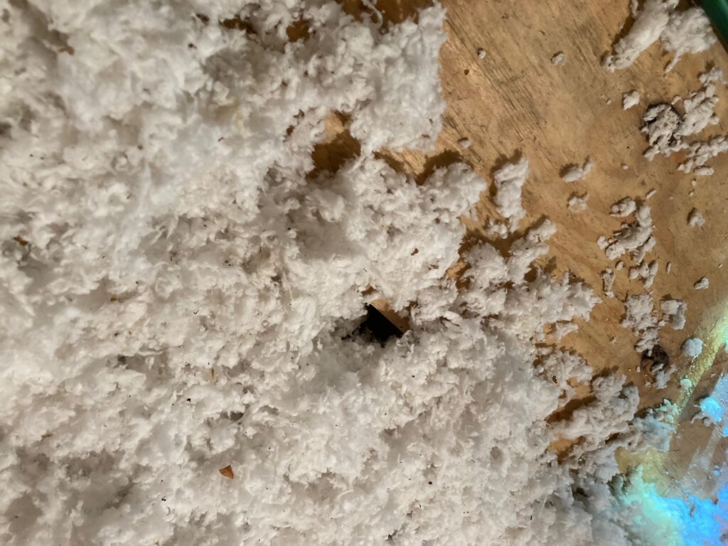 Signs of rats insulation burrows