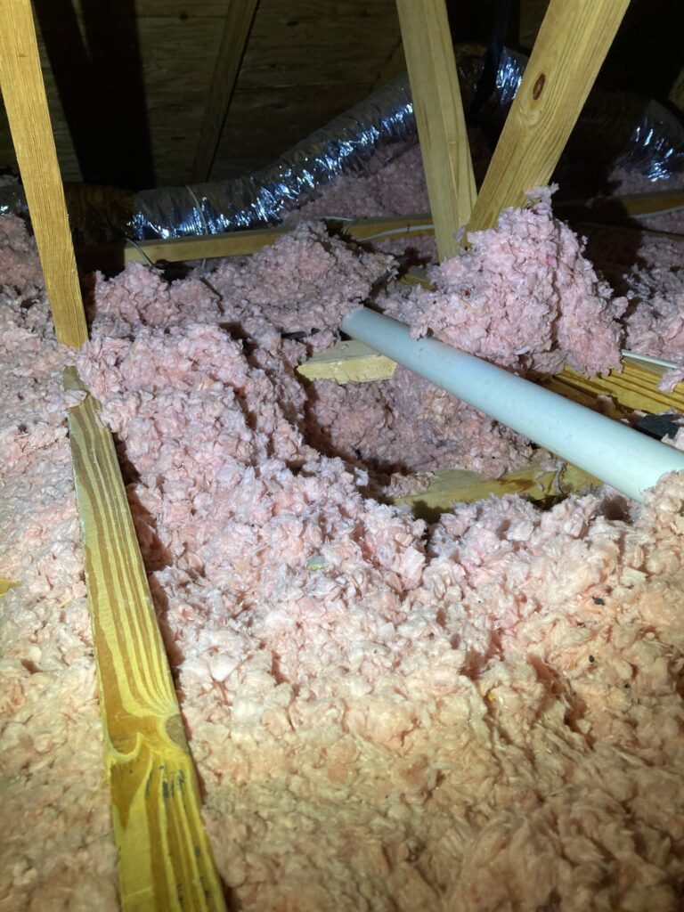 Chattnooga raccoon damage to insulation