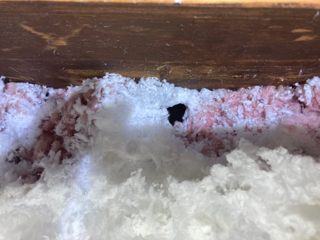 signs of rats in attic burrows in insulation