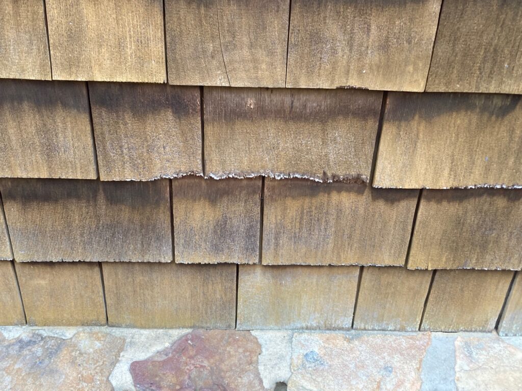 rat gnaw marks on siding