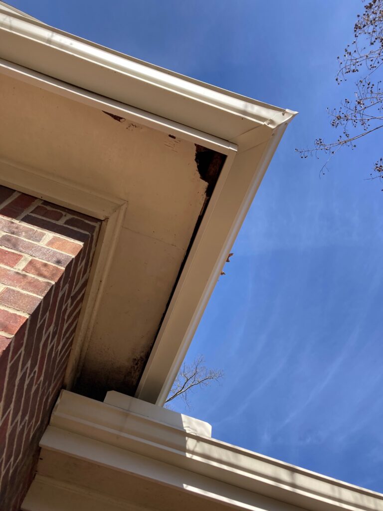 Squirrel gap soffits, gnawed