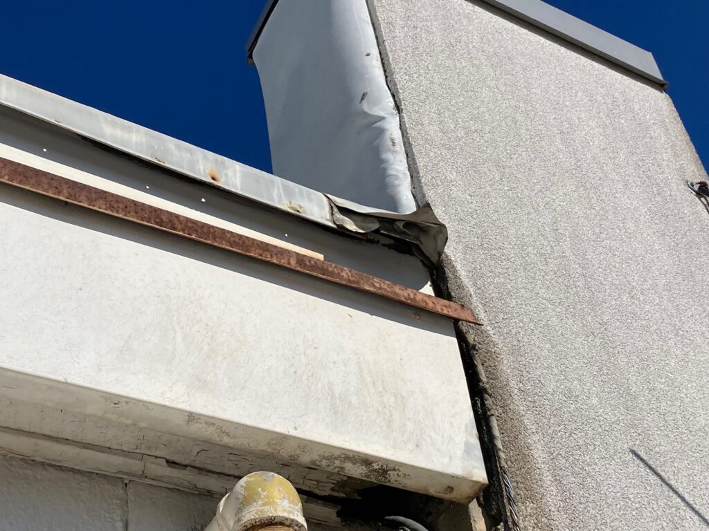 rat damage and entry point