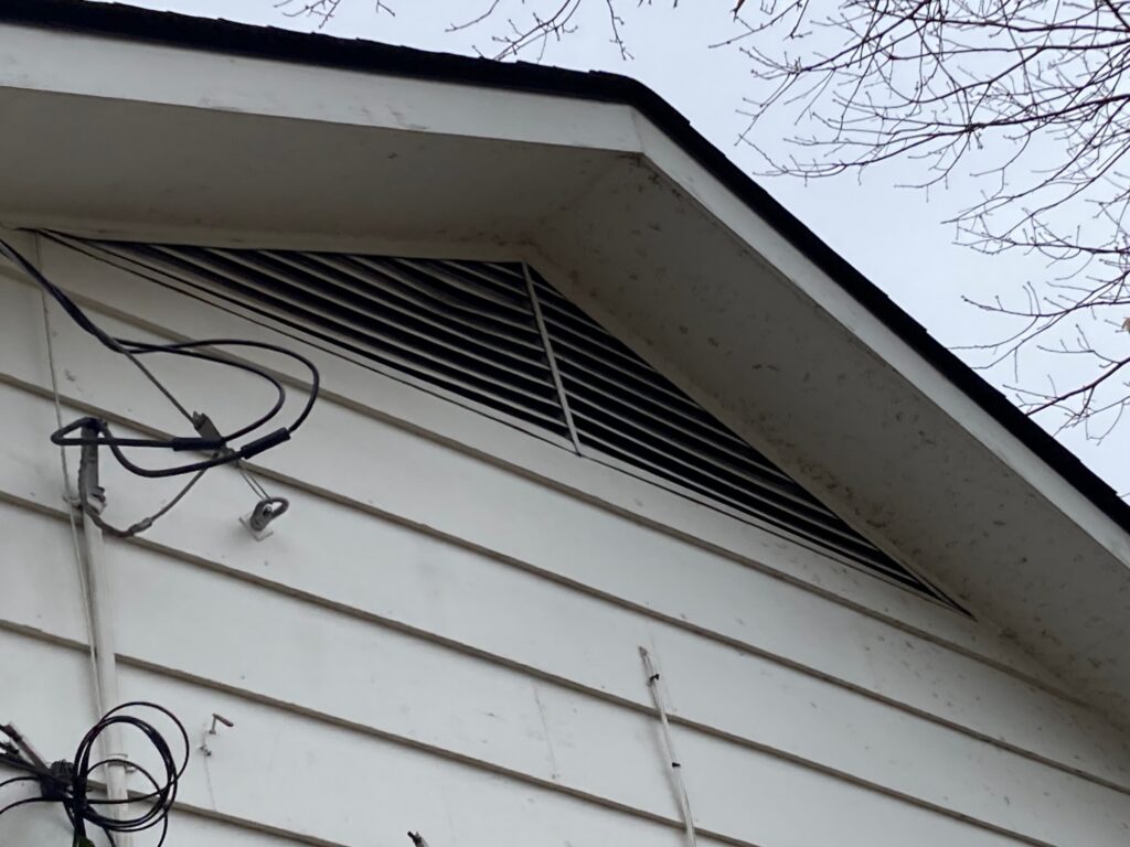 Squirrel entry point gable vent