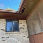 squirrel entry point soffit