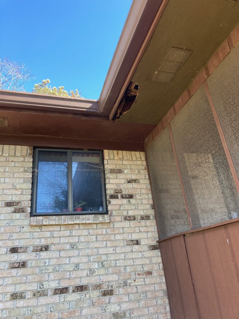 raccoon damage soffit