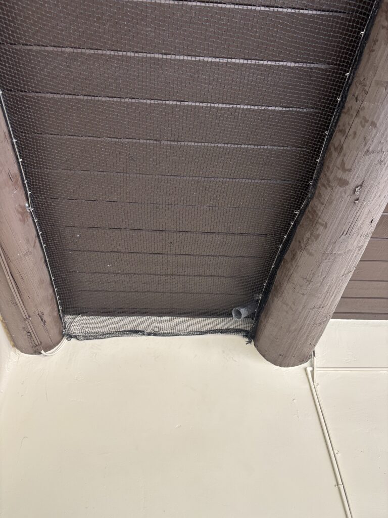 Bird netting under porch for bird control