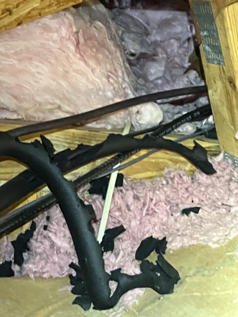 Rodents gnawing on wires