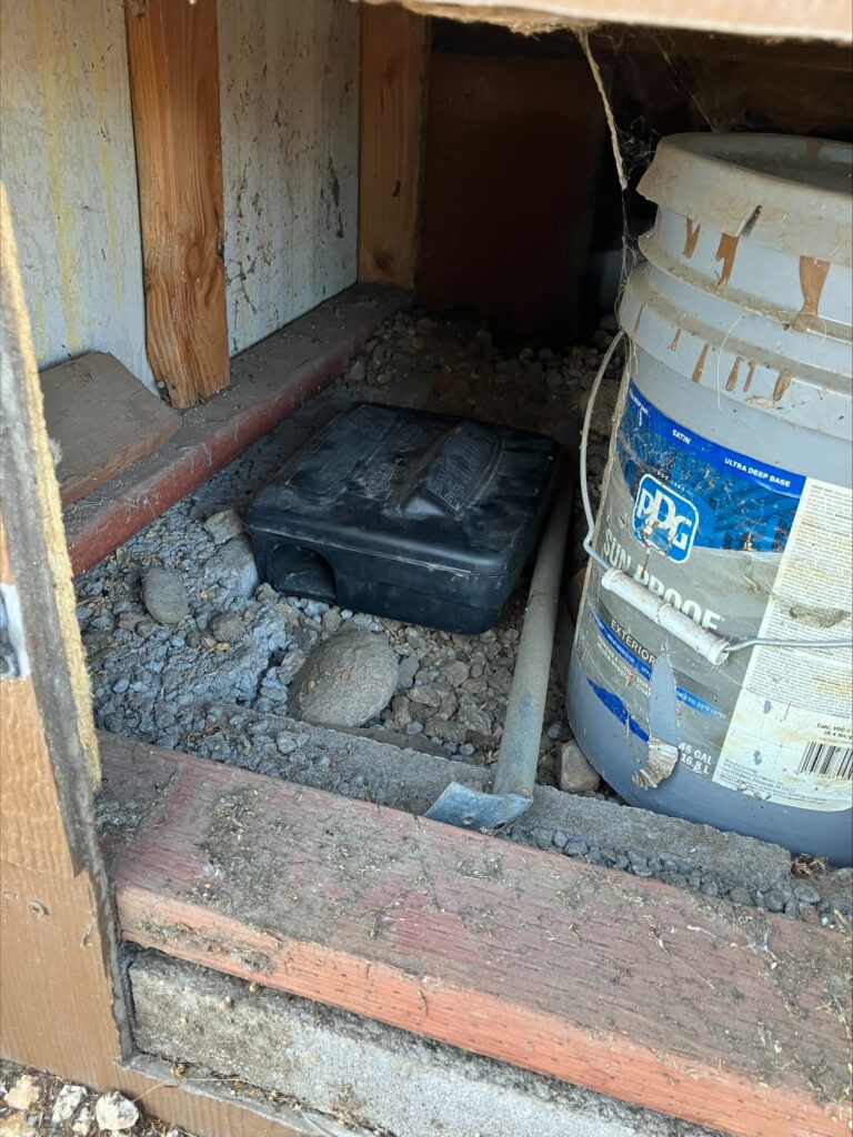 bait station for rodent control