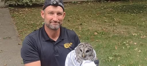 Jeff Archer Critter Control KCMO Owl Removal