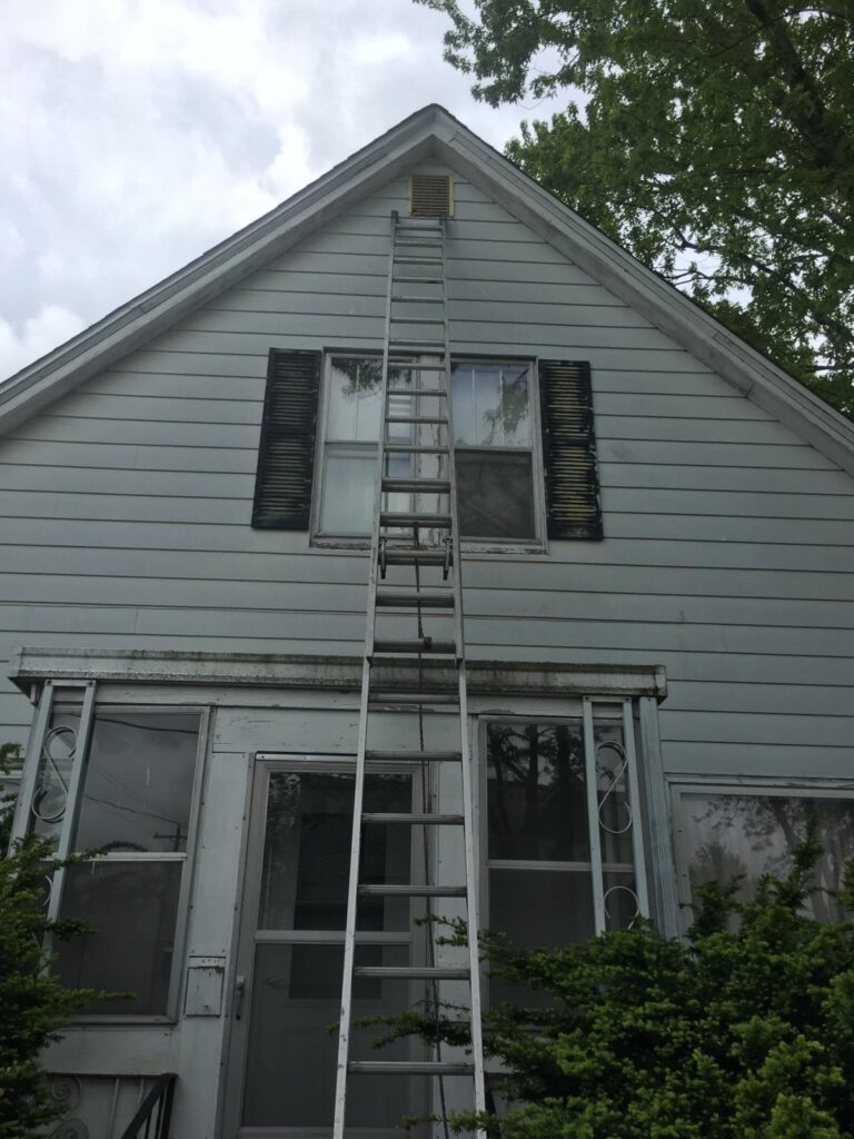 Exclusion repair for squirrels in Bloomington IL