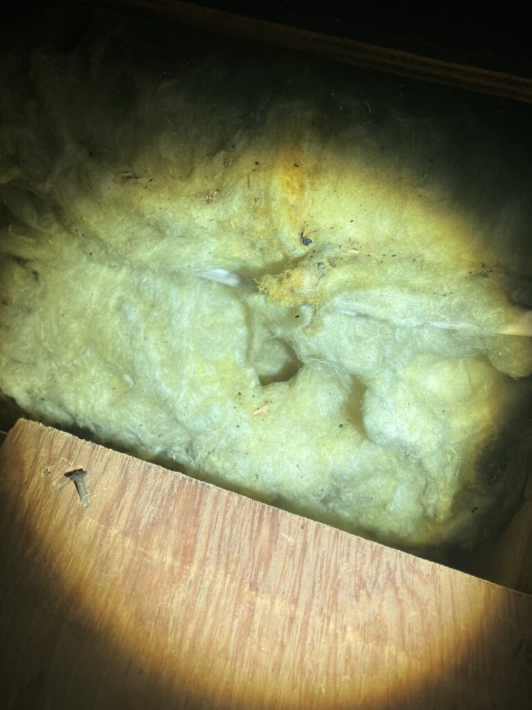 Rat Tunnel insulation attic