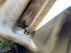 Signs of rats using gutters to access roof