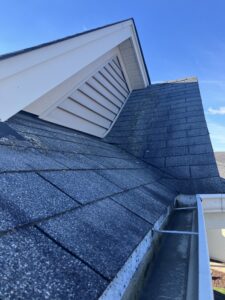 Signs of rats on roof getting into attic