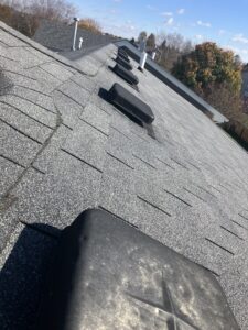 Rats getting into roof vents