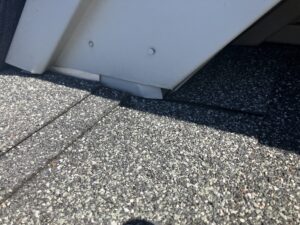 Rat Entry on Roof Soffit and Roof Return