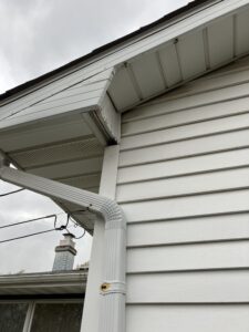 Squirrel entry point into attic Chicago