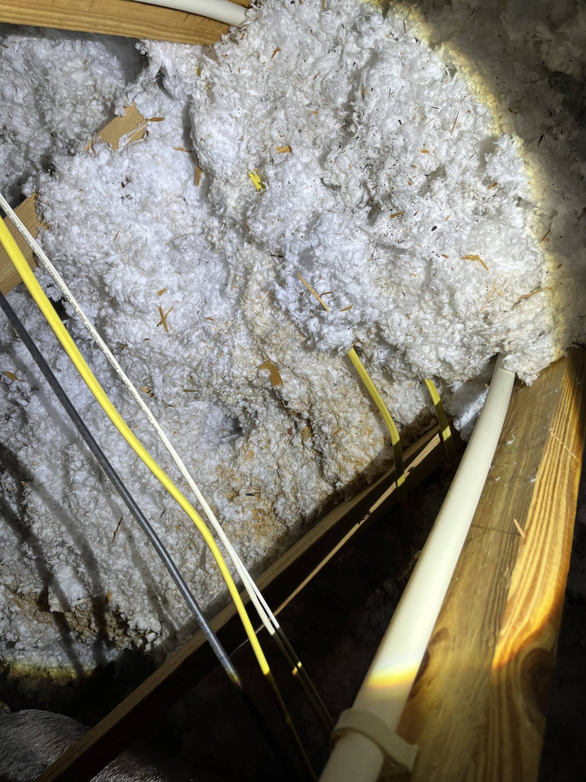 Insulation Damage from rodents