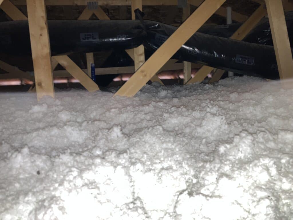 squirrel entry gaps and sunlight in attic