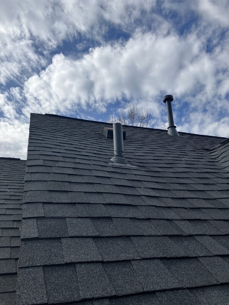 bat inspection along roof in Durham
