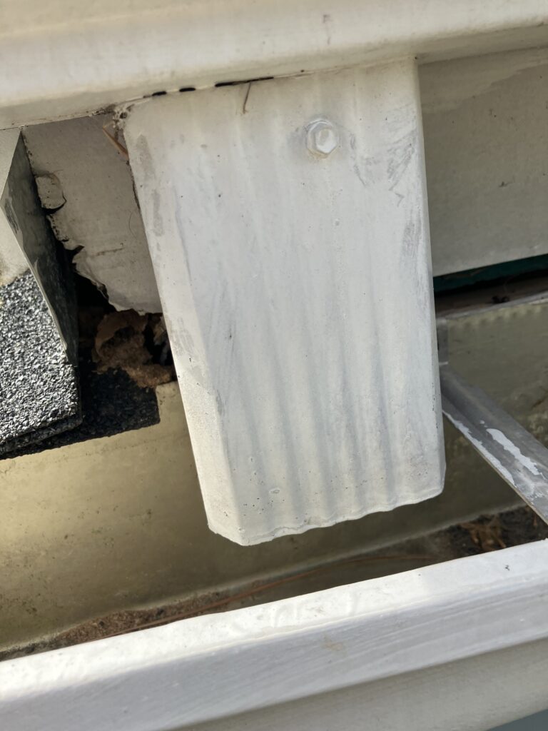 bat entry point near gutter