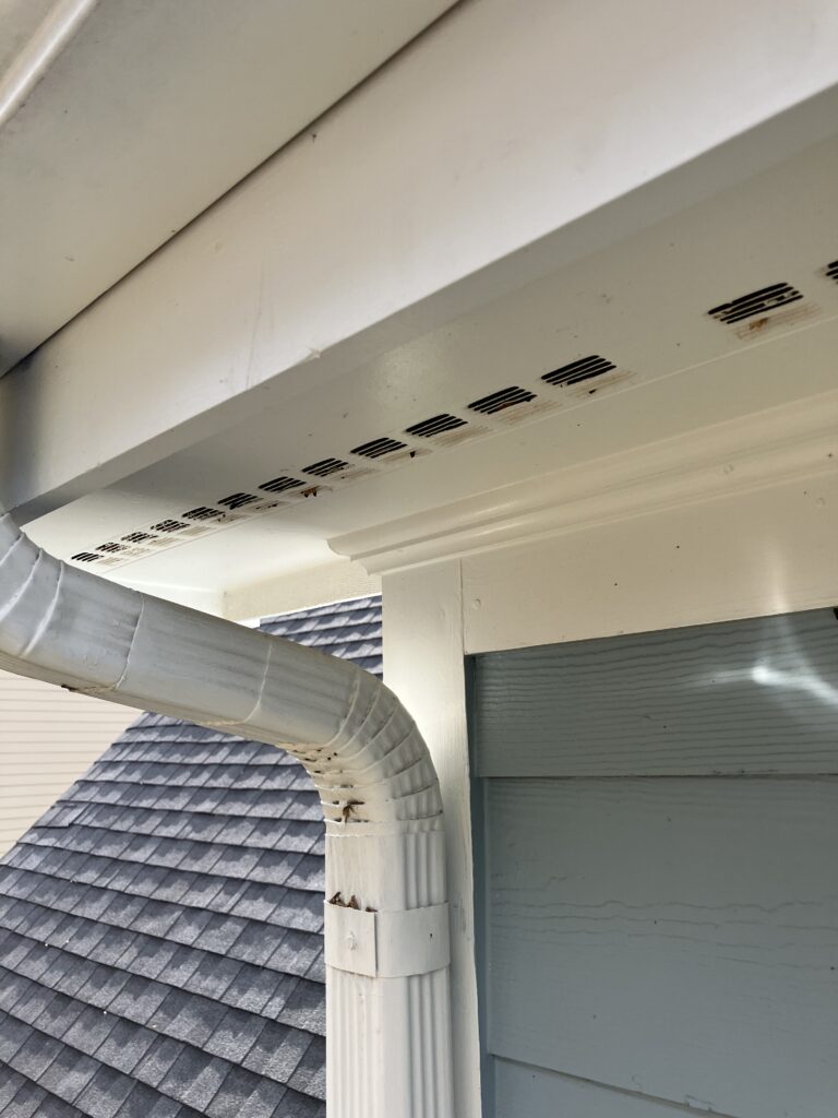 bat entry points in soffits
