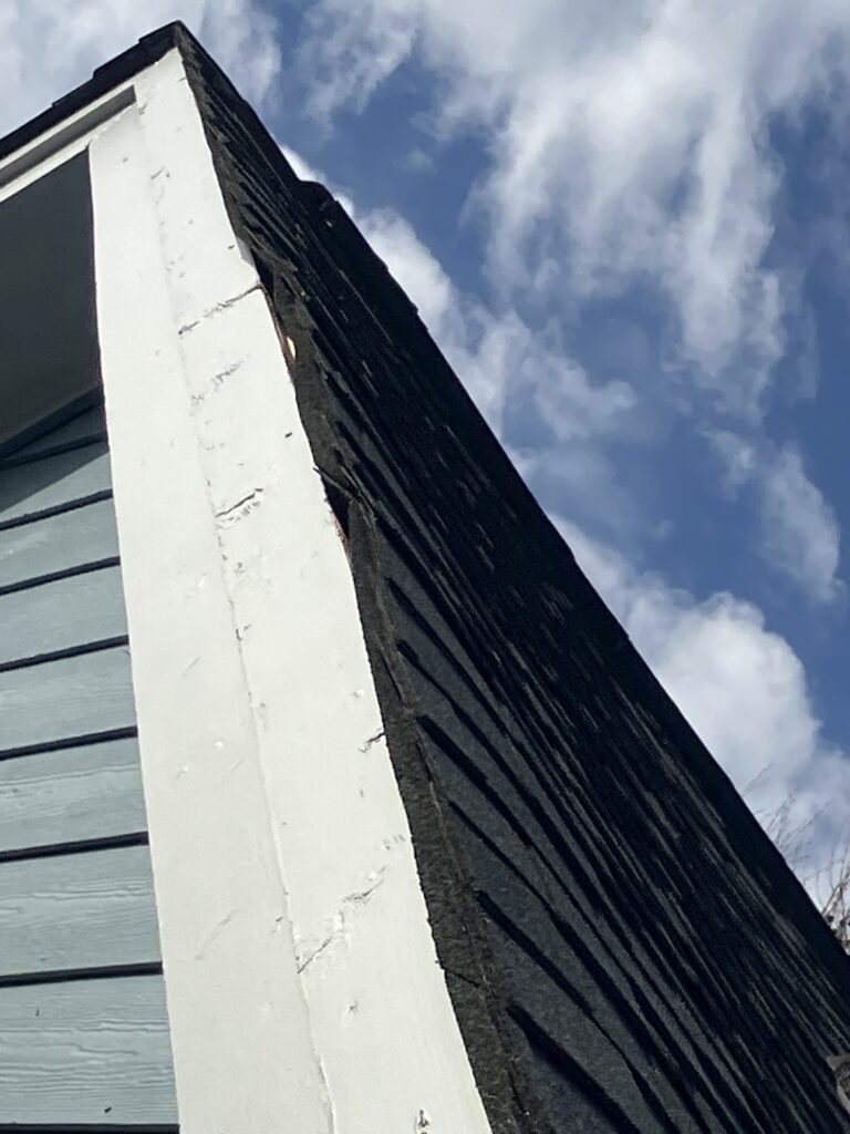 loose shingle bat entry