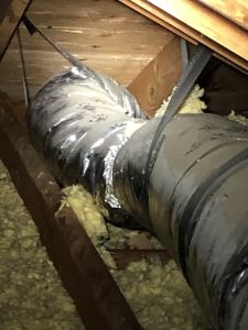 The most obvious signs of animals in attic - Critter Control