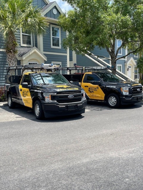 Squirrel Removal in Sarasota, FL