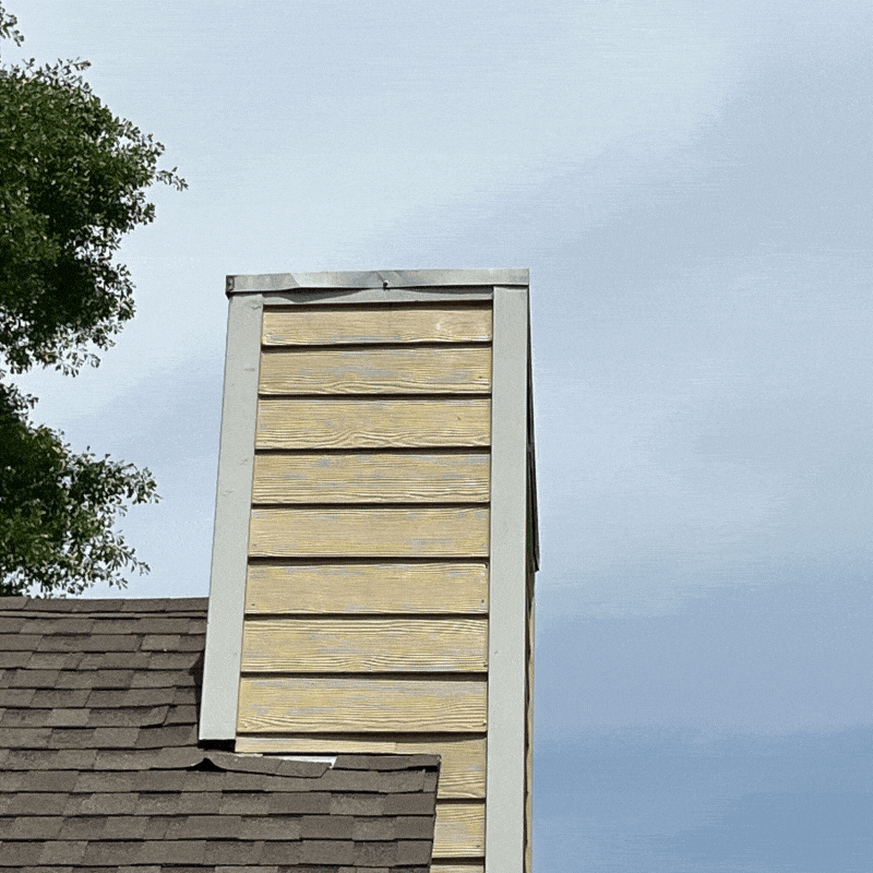 Signs of Animal Damage 5913
