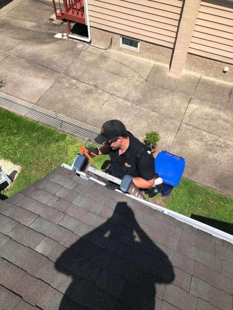 Critter Control Roof Inspection NJ