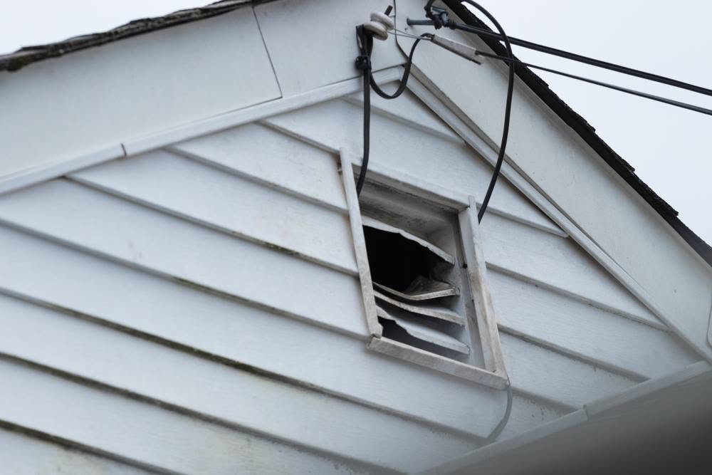 Raccoon damage to gable vent