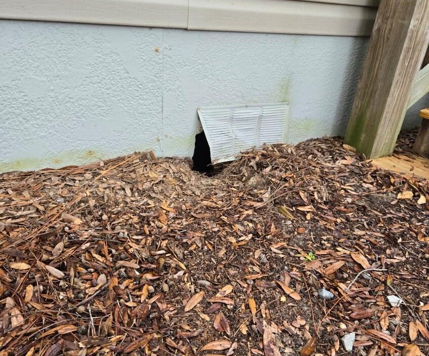 armadillo hole foundation vent