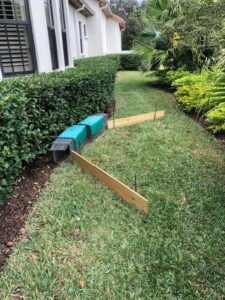 armadillo trap in yard